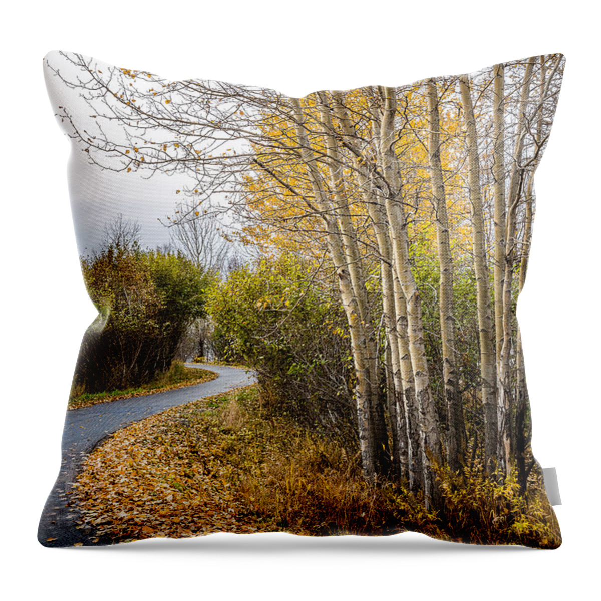 Autumn Throw Pillow featuring the photograph Rainy Autumn Walk by Tim Newton