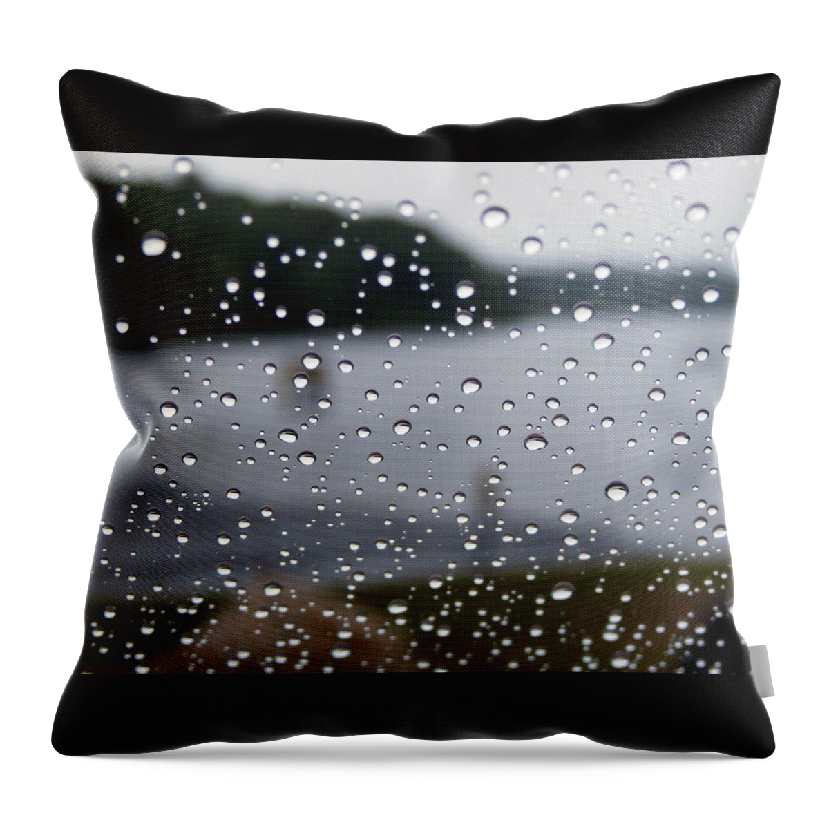 Rain Throw Pillow featuring the photograph Rainy Day At The Lake by Wolfgang Schweizer