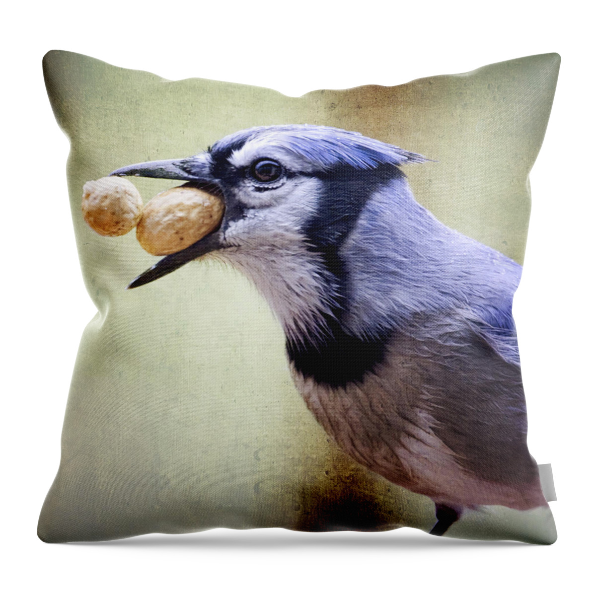 Birds Throw Pillow featuring the photograph Rainy Day Blue Jay by Al Mueller