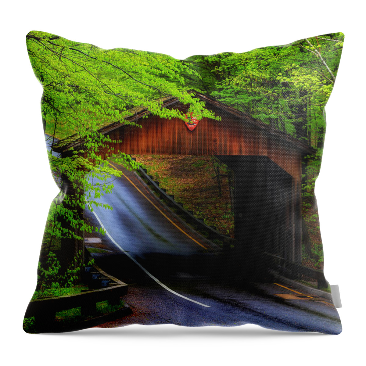 Covered Bridge Throw Pillow featuring the photograph Rainy Day Covered Bridge by Rachel Cohen