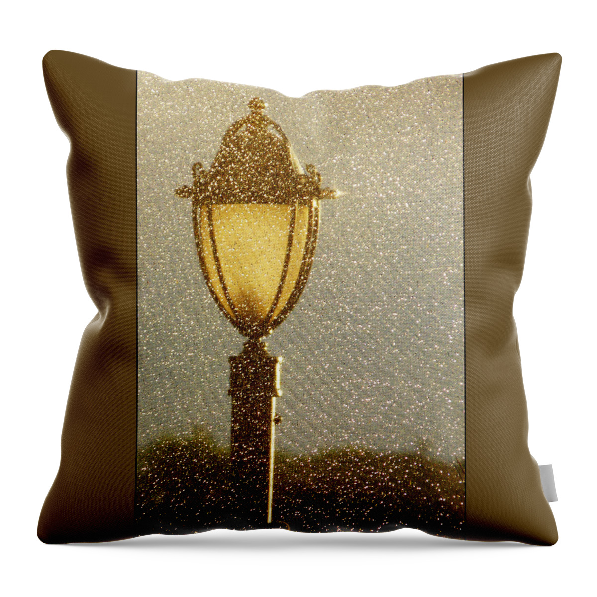 Lampost Throw Pillow featuring the photograph Rainy Day Lamp Post by Geraldine Alexander