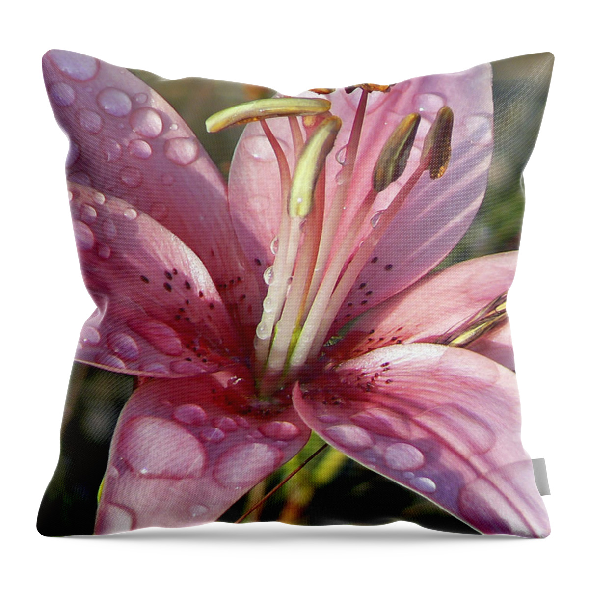 Pamela Patch Throw Pillow featuring the photograph Rainy Day Lily by Pamela Patch