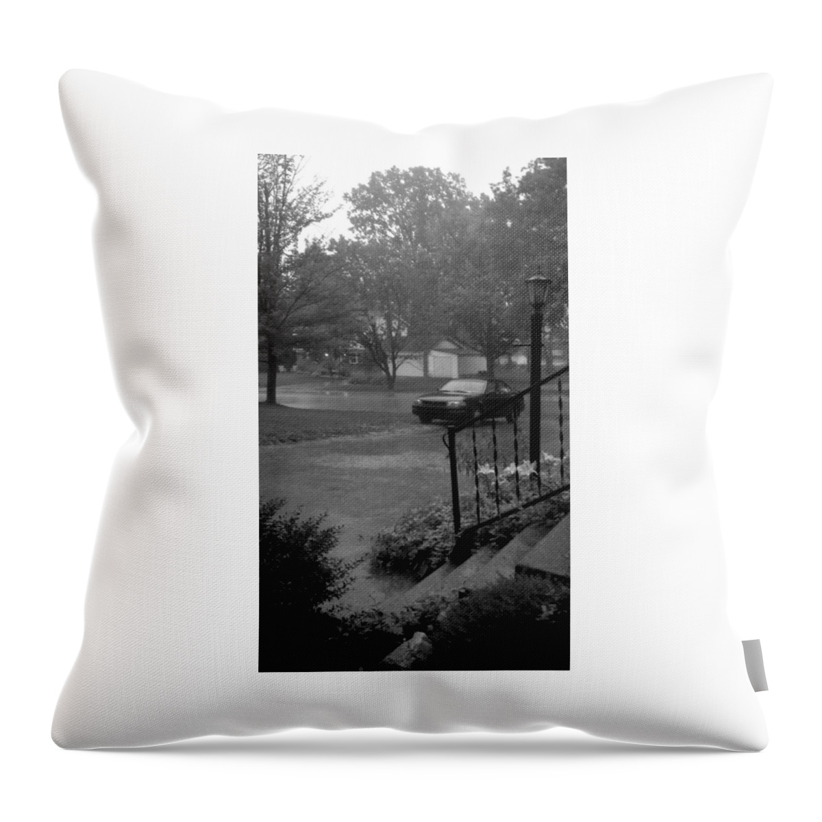 Spring Throw Pillow featuring the photograph Rainy Day of Spring by Risa Kawaguchi Law