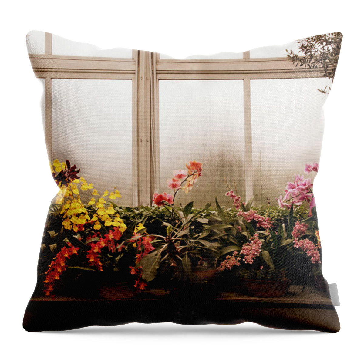 Flowers Throw Pillow featuring the photograph Rainy Day Orchids by Jessica Jenney
