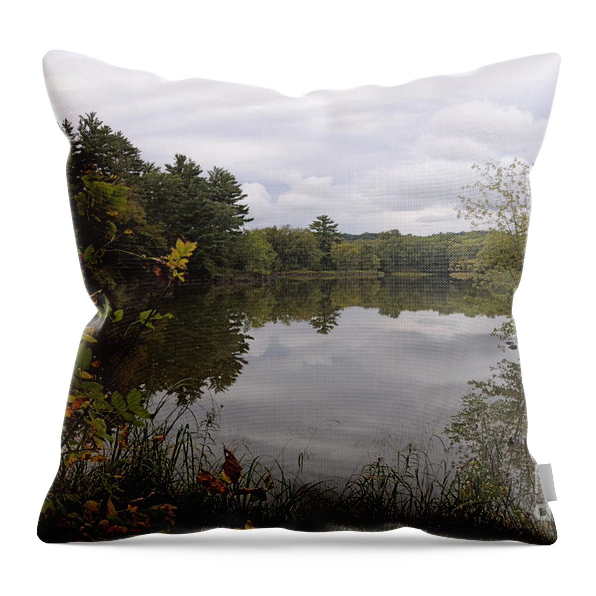 Rainy Day Throw Pillow featuring the photograph Rainy Day Reflections by Sandra Updyke