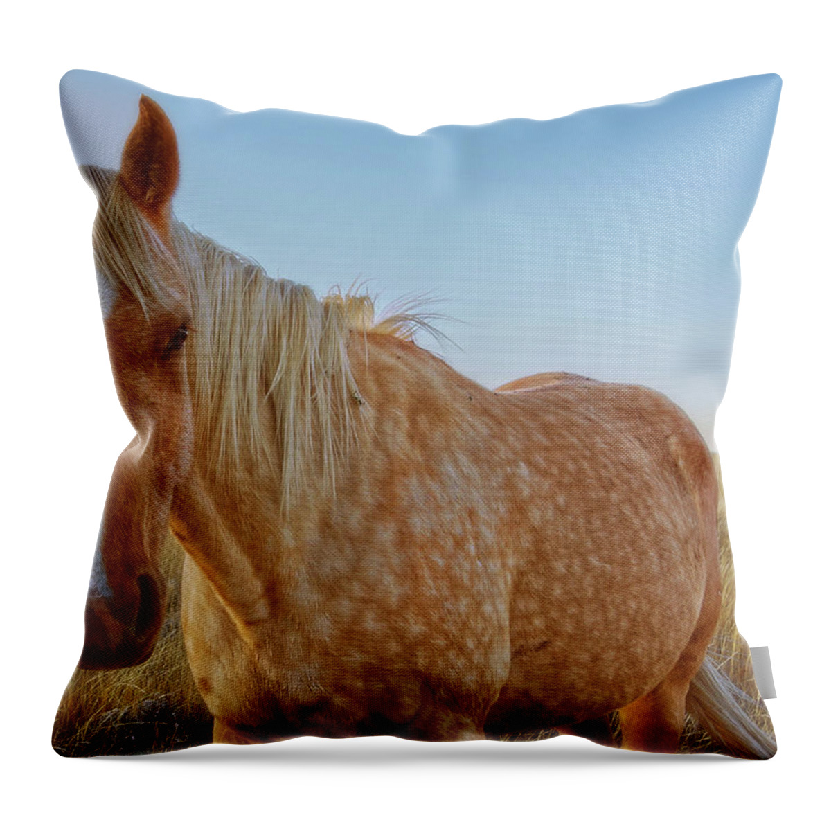 Horse Throw Pillow featuring the photograph Raising Dapple by Amanda Smith