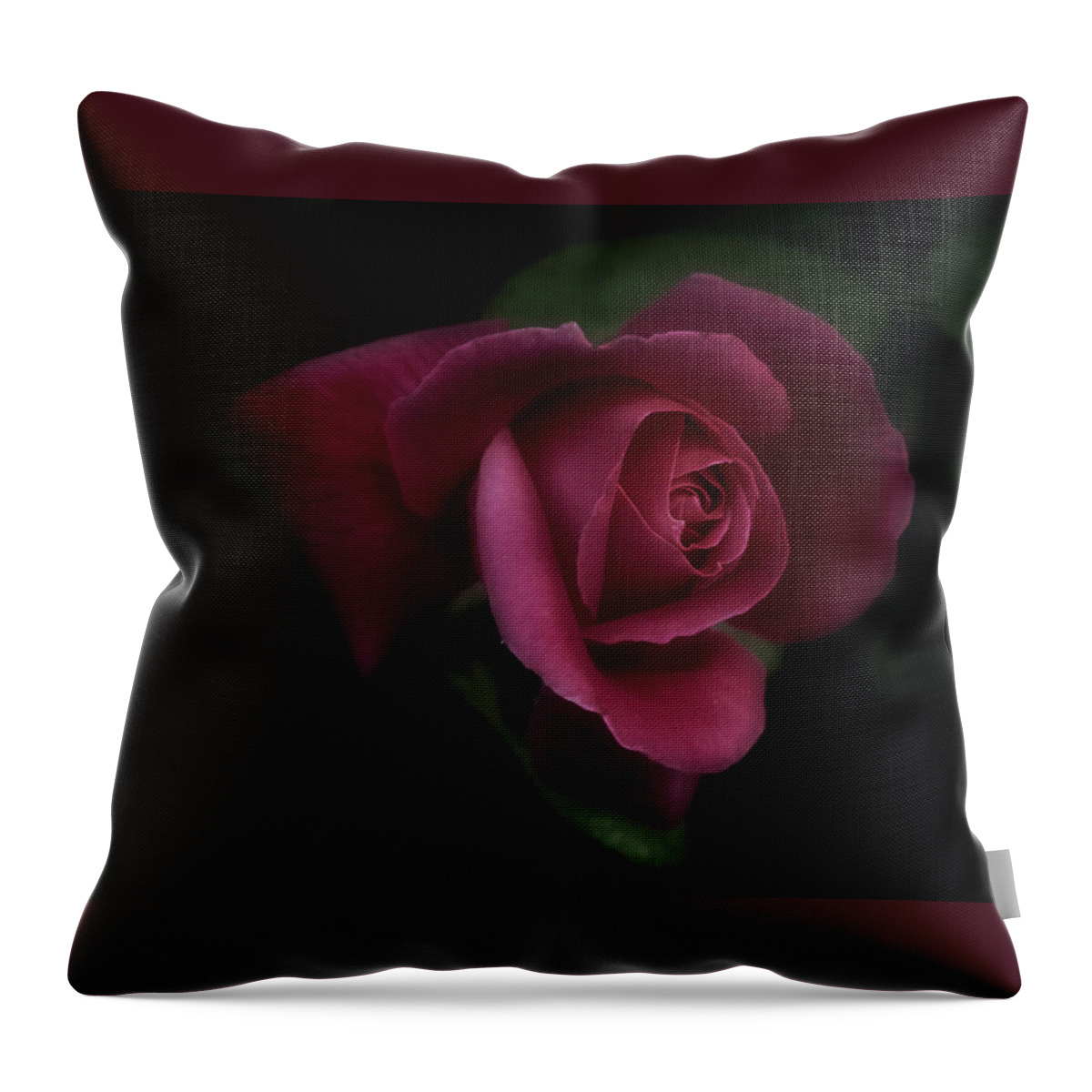 Red Rose Throw Pillow featuring the photograph Rambling Rose by Richard Cummings