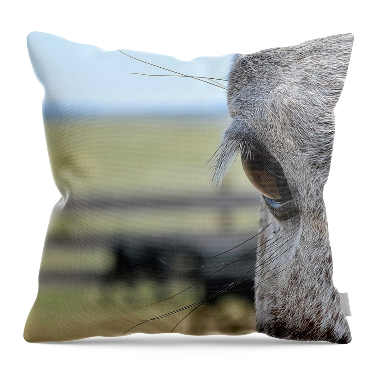 Ranch Horse Landscape Cattle Western Throw Pillow featuring the photograph Ranch Life by Fiskr Larsen
