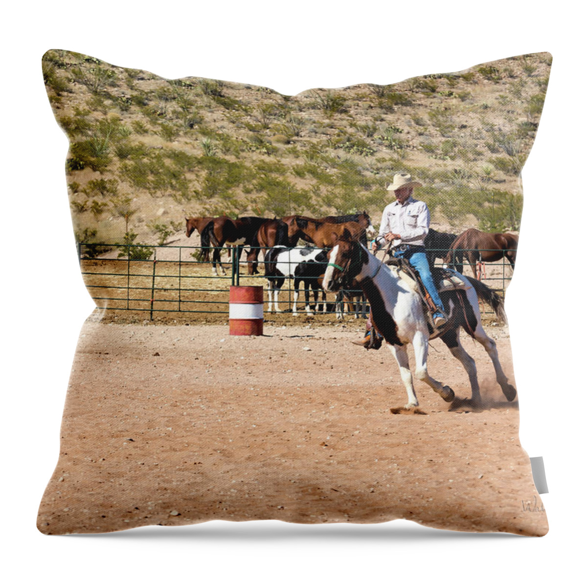 Horses Unlimited Rescue Throw Pillow featuring the photograph Ranch Rider_A1 by Walter Herrit