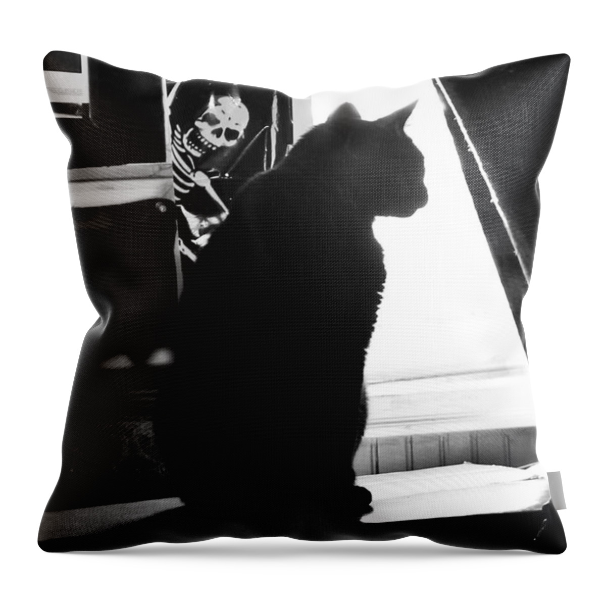 Cats Throw Pillow featuring the photograph Ranson Silhouette by Sandra Dalton