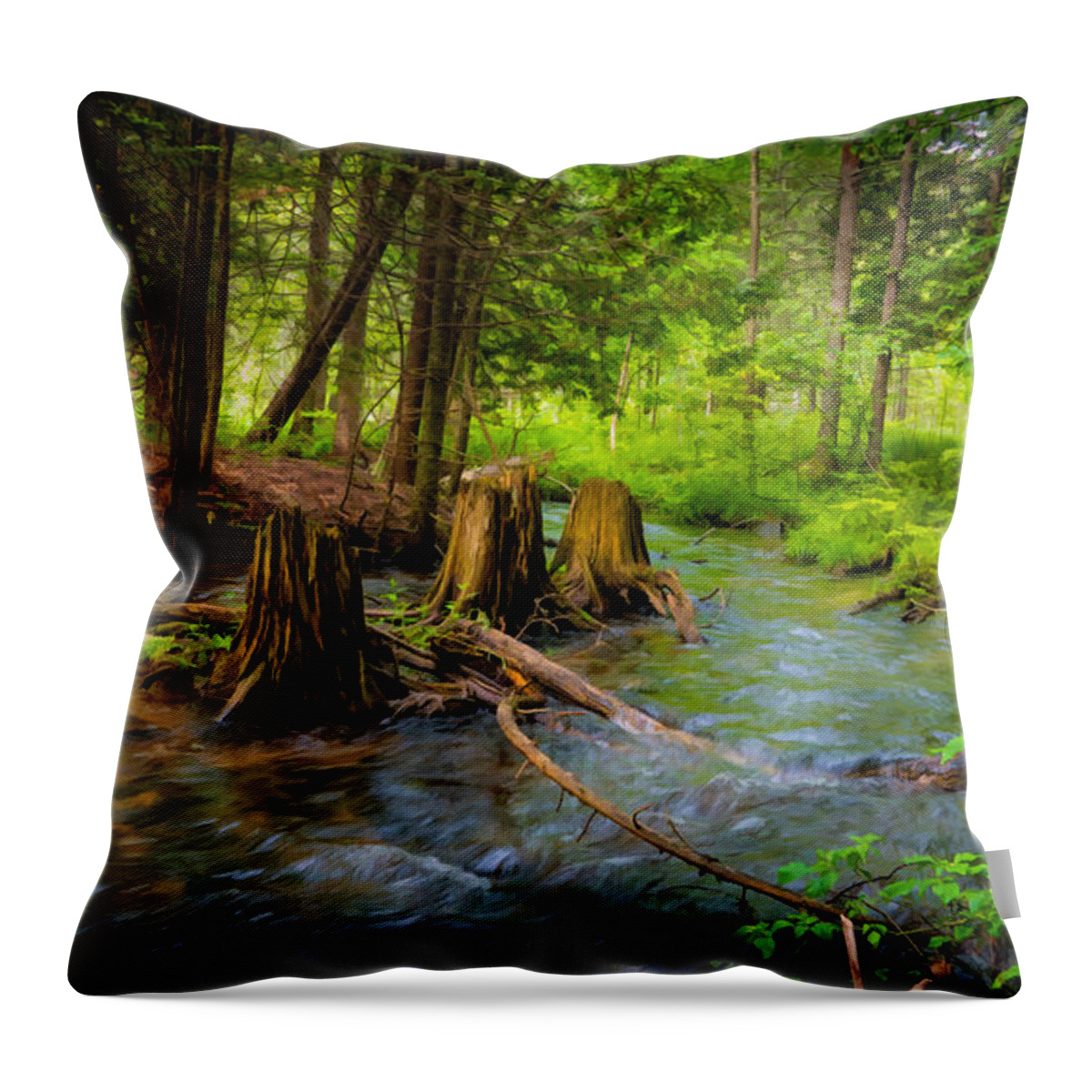 Michigan Throw Pillow featuring the photograph Rapid River by Dean Ginther