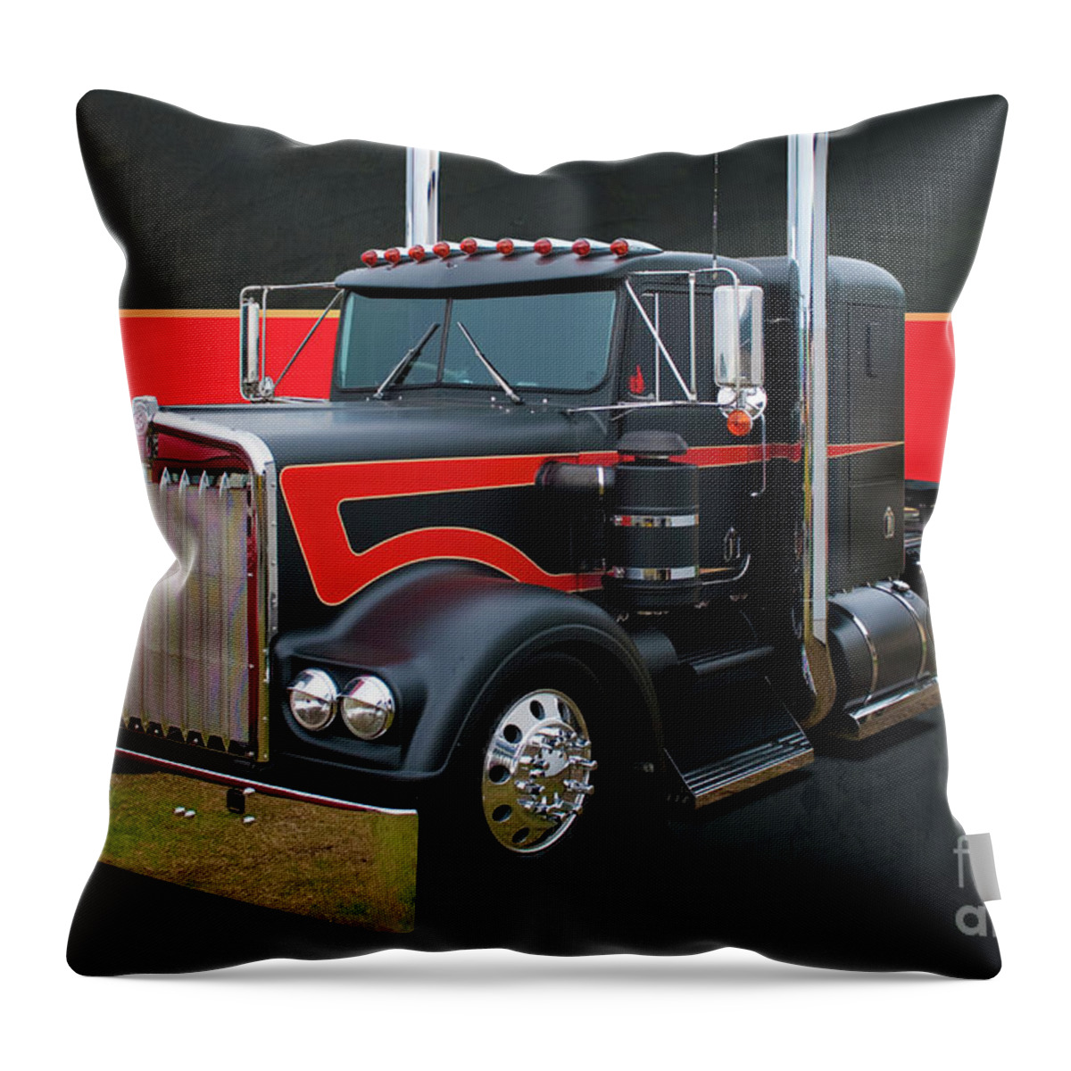 Rig Throw Pillow featuring the photograph Rat Rig by Stuart Row