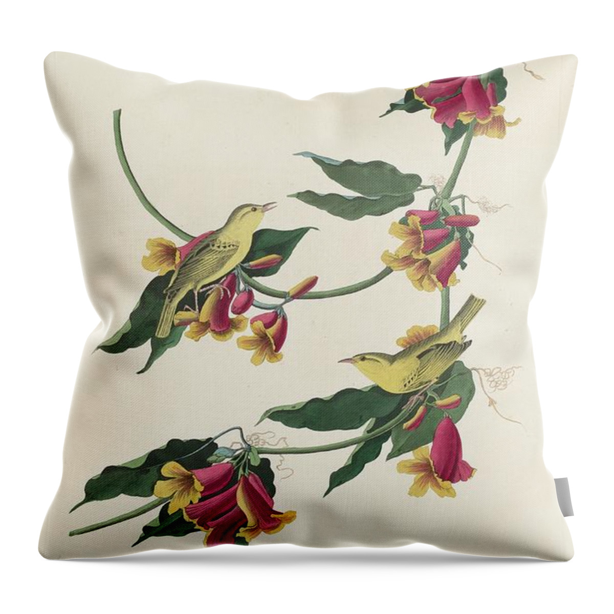 Audubon Throw Pillow featuring the drawing Rathbone Warbler by Dreyer Wildlife Print Collections 