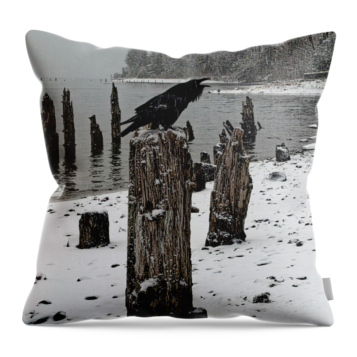 Raven Throw Pillow featuring the photograph Raven Call by Cathy Mahnke