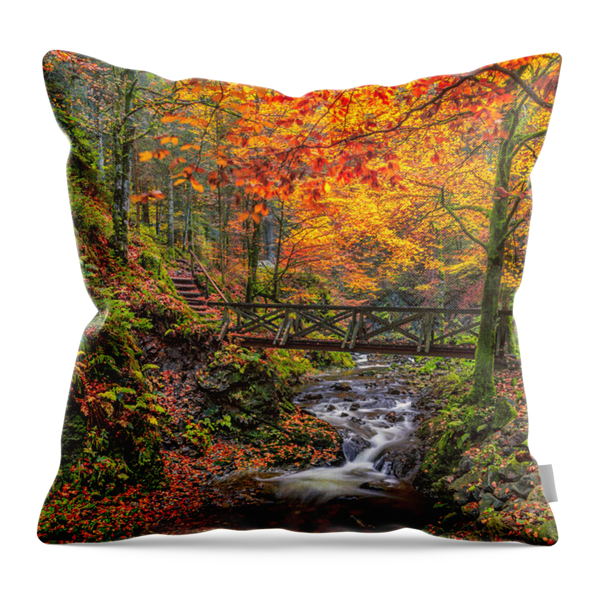 Ravenna-gorge Throw Pillow featuring the photograph Cascades and Waterfalls by Bernd Laeschke