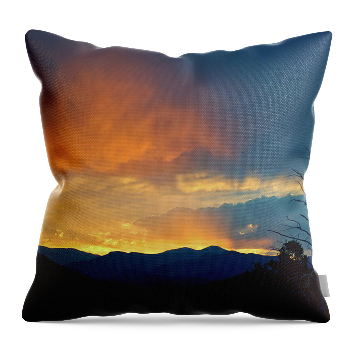 Landscape Throw Pillow featuring the photograph Ray by Ivan Franklin