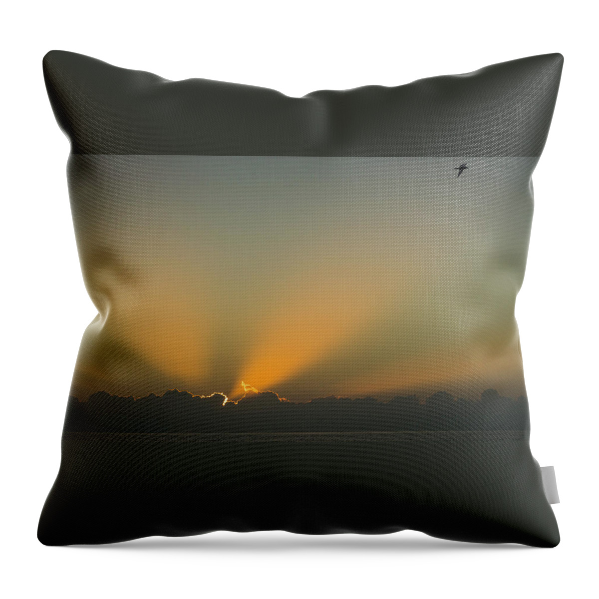 Florida Throw Pillow featuring the photograph Rays of Hope at Sunrise Delray Beach Florida by Lawrence S Richardson Jr