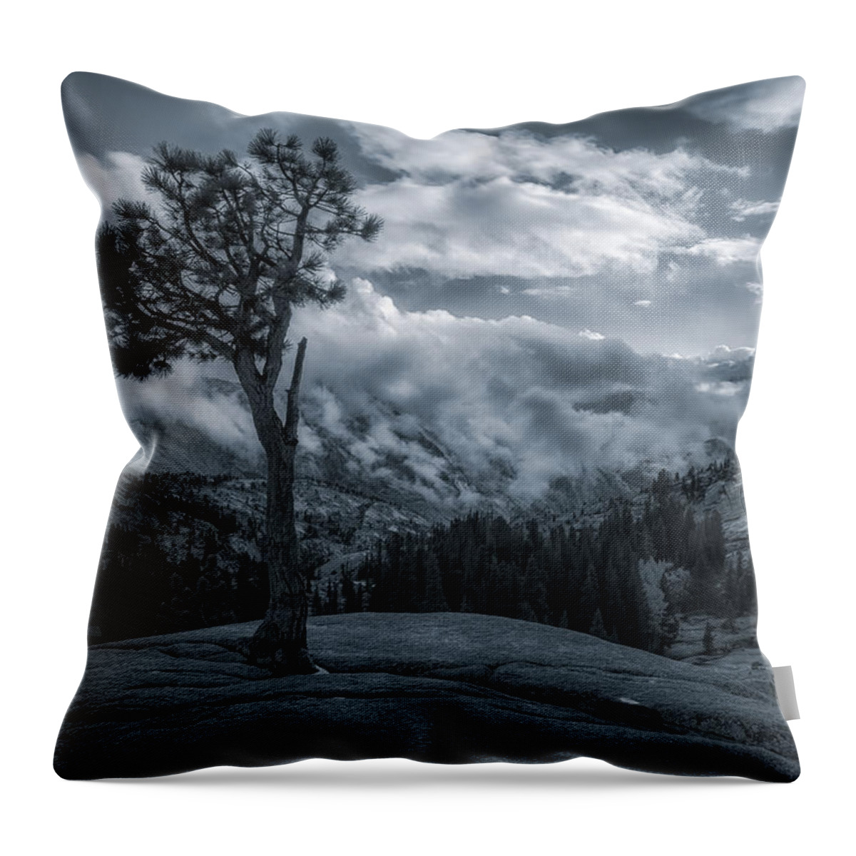 National Park Throw Pillow featuring the photograph Rays Of Life BW by Jonathan Nguyen