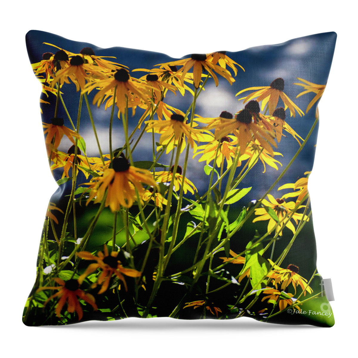 Flowers Throw Pillow featuring the photograph Reaching for the Blue Sky by Jale Fancey