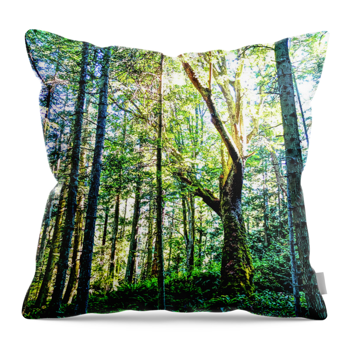 Tree Throw Pillow featuring the photograph Reaching for the Light by Tim Dussault