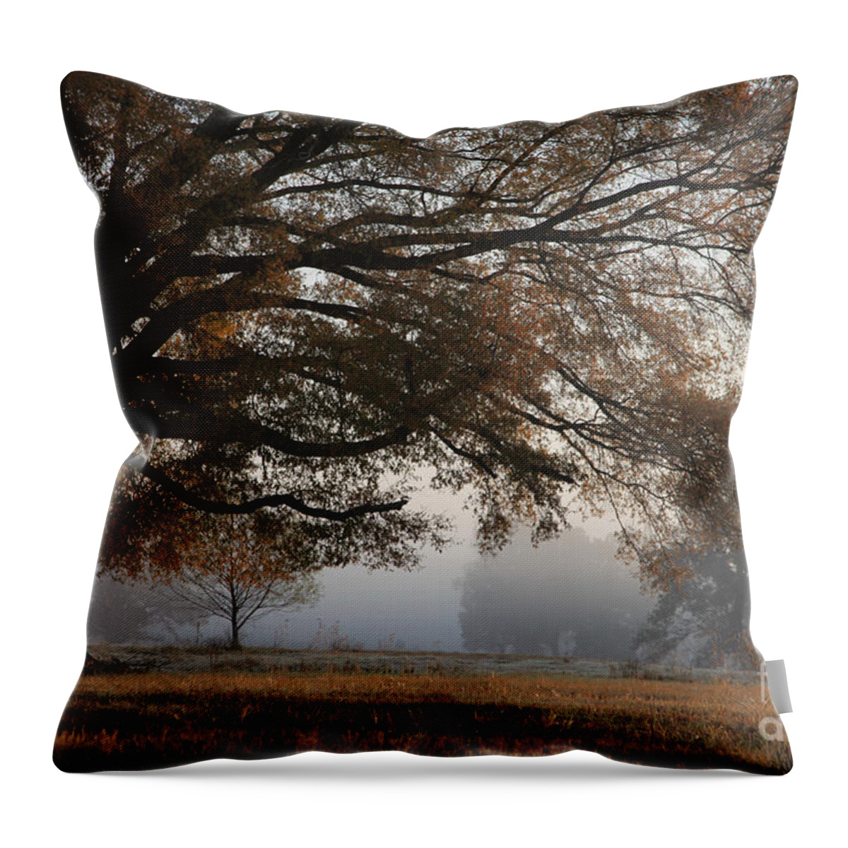 Tree Throw Pillow featuring the photograph Reaching out by Amanda Barcon