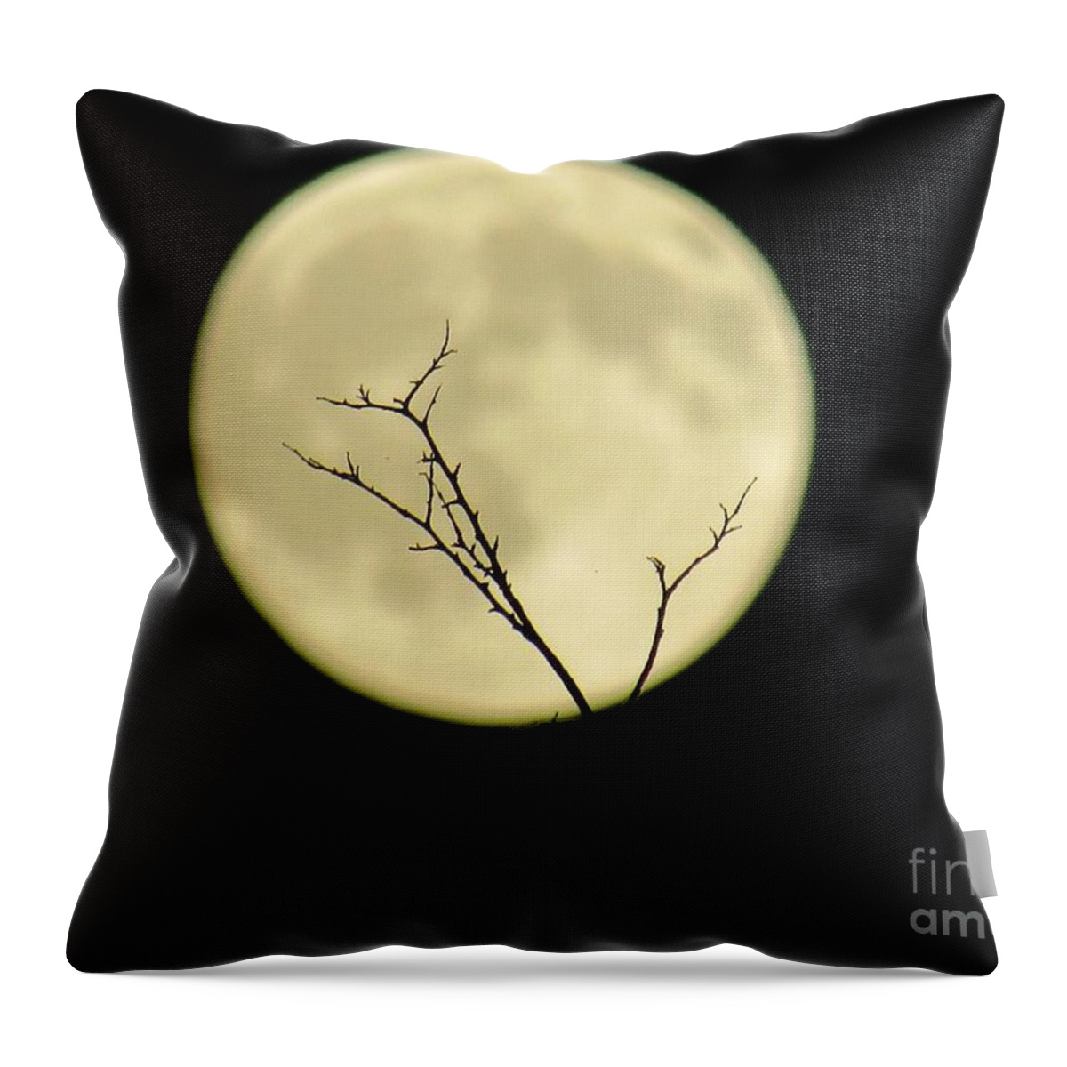  Throw Pillow featuring the photograph Reaching Out Into the Night by Kelly Awad