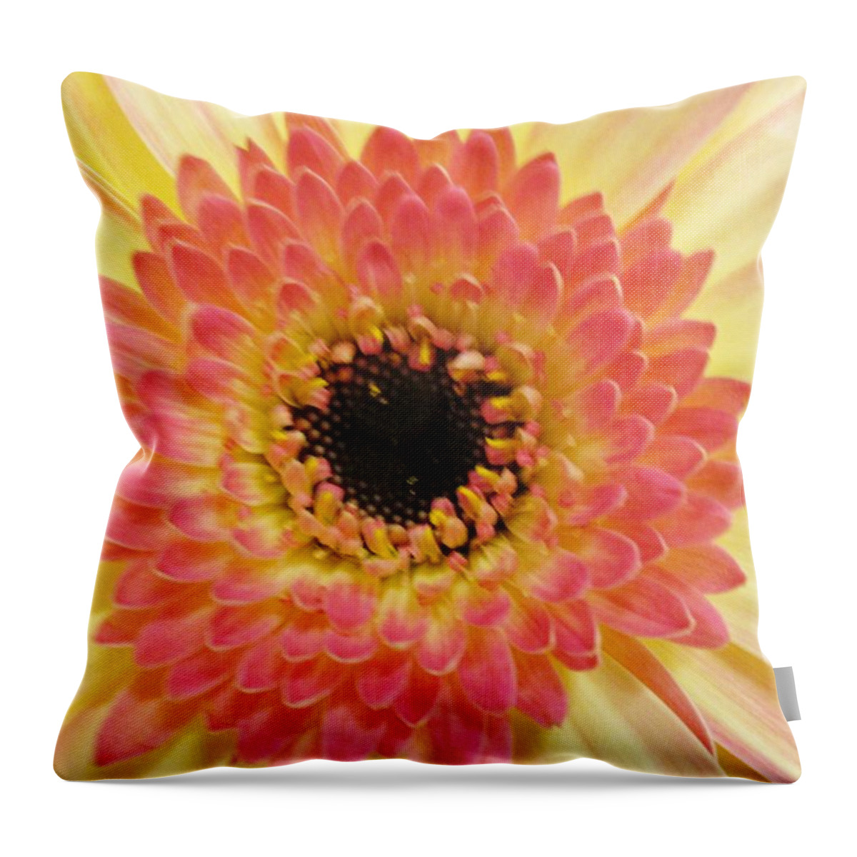 Pink Throw Pillow featuring the photograph Illusory by Rosita Larsson