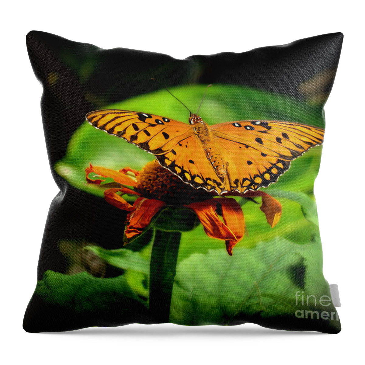 Butterfly Throw Pillow featuring the photograph Ready For Liftoff by Sue Melvin
