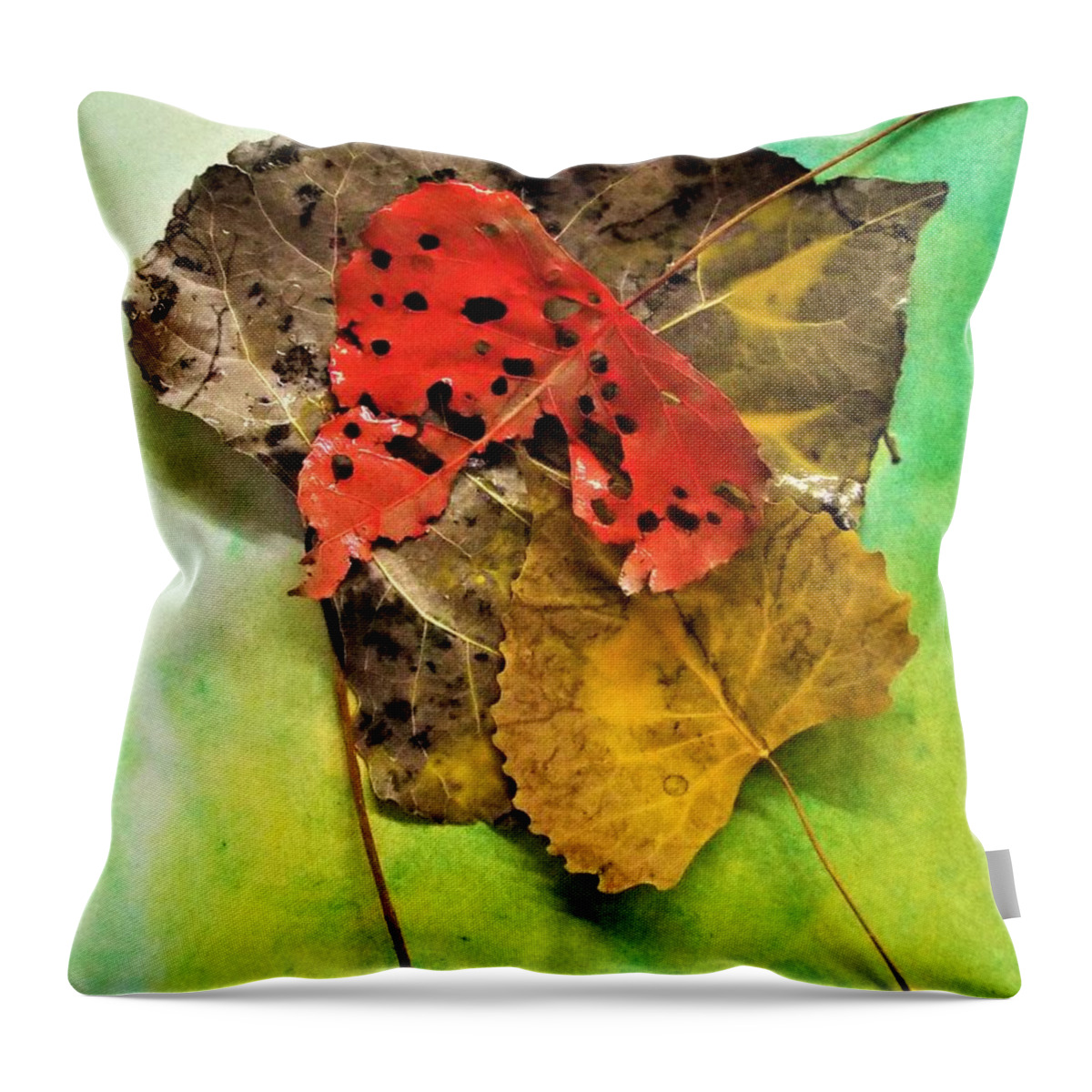 Fall Colors Throw Pillow featuring the photograph Ready For The Pile by Michael Dillon