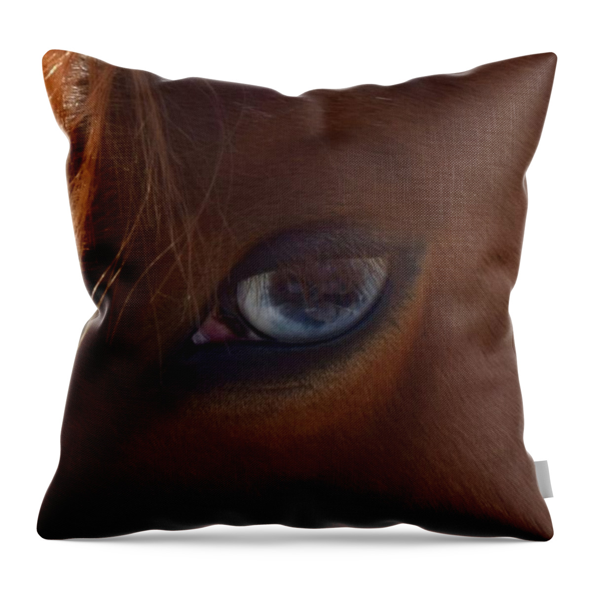 Barrieloustark Throw Pillow featuring the photograph Really? by Barrie Stark