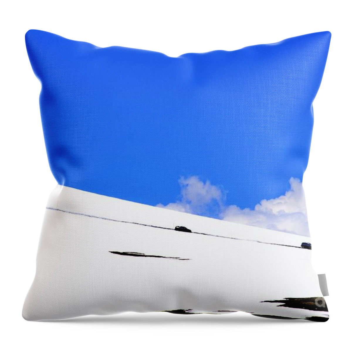 Colorado Throw Pillow featuring the photograph Really its June by Merle Grenz
