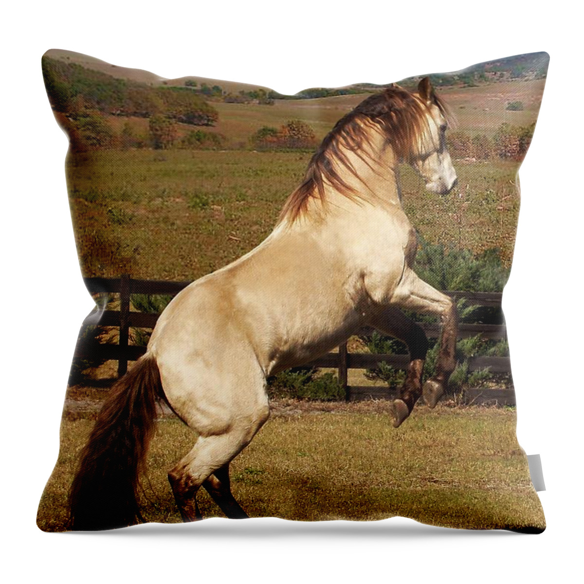 Horse Throw Pillow featuring the photograph Wild At Heart by Barbie Batson