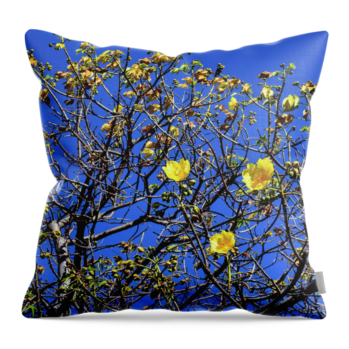 Flower Throw Pillow featuring the photograph Rebirth by Nicole Lloyd