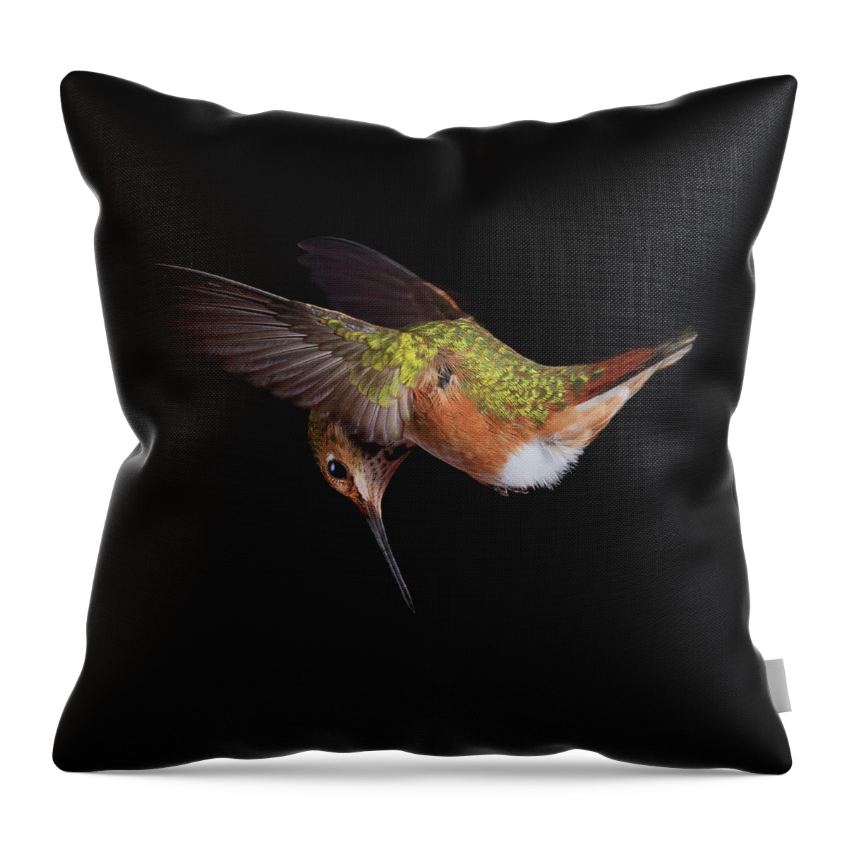 Animal Throw Pillow featuring the photograph Reconnaissance by Briand Sanderson