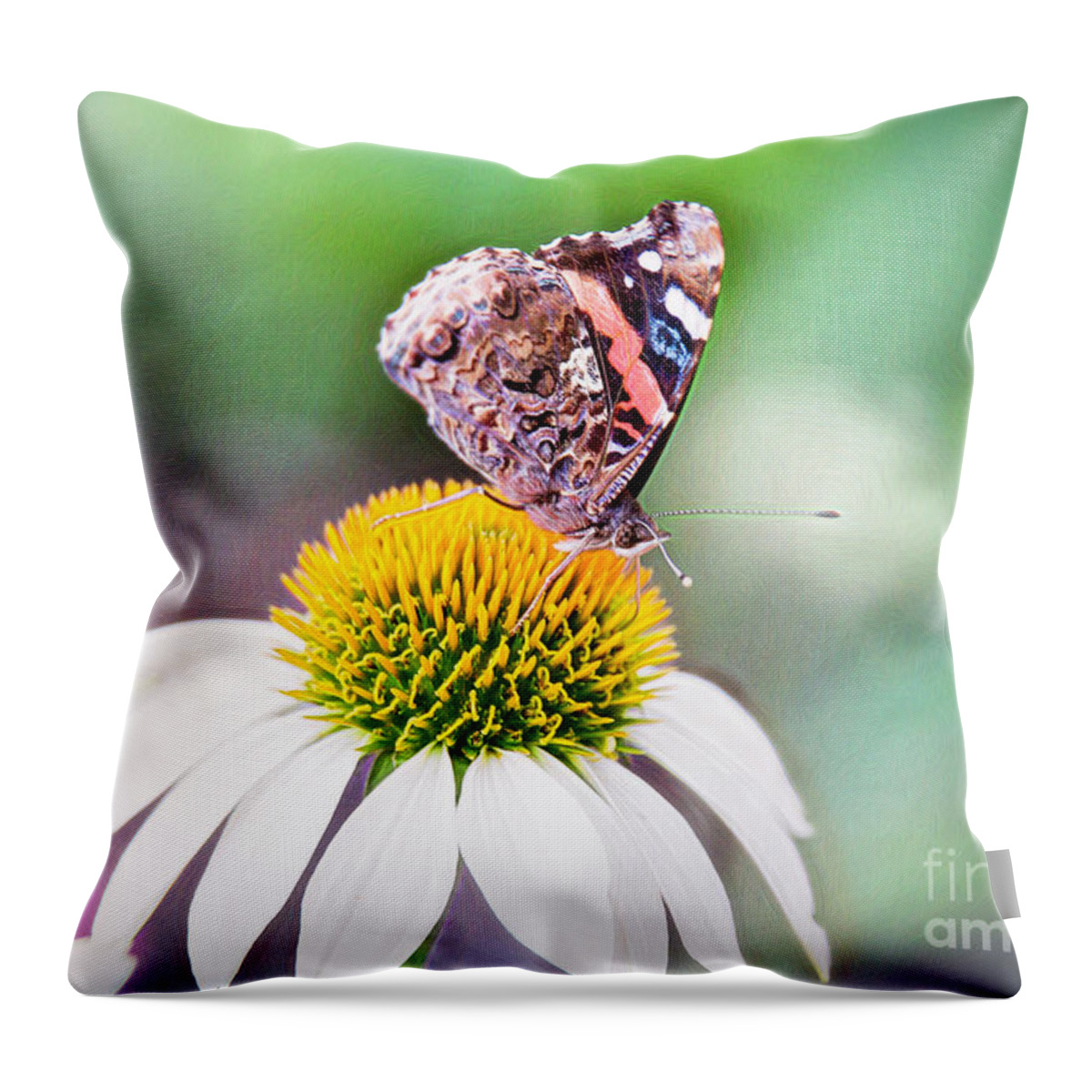Nature Throw Pillow featuring the photograph Red Admiral Butterfly On Coneflower by Sharon McConnell