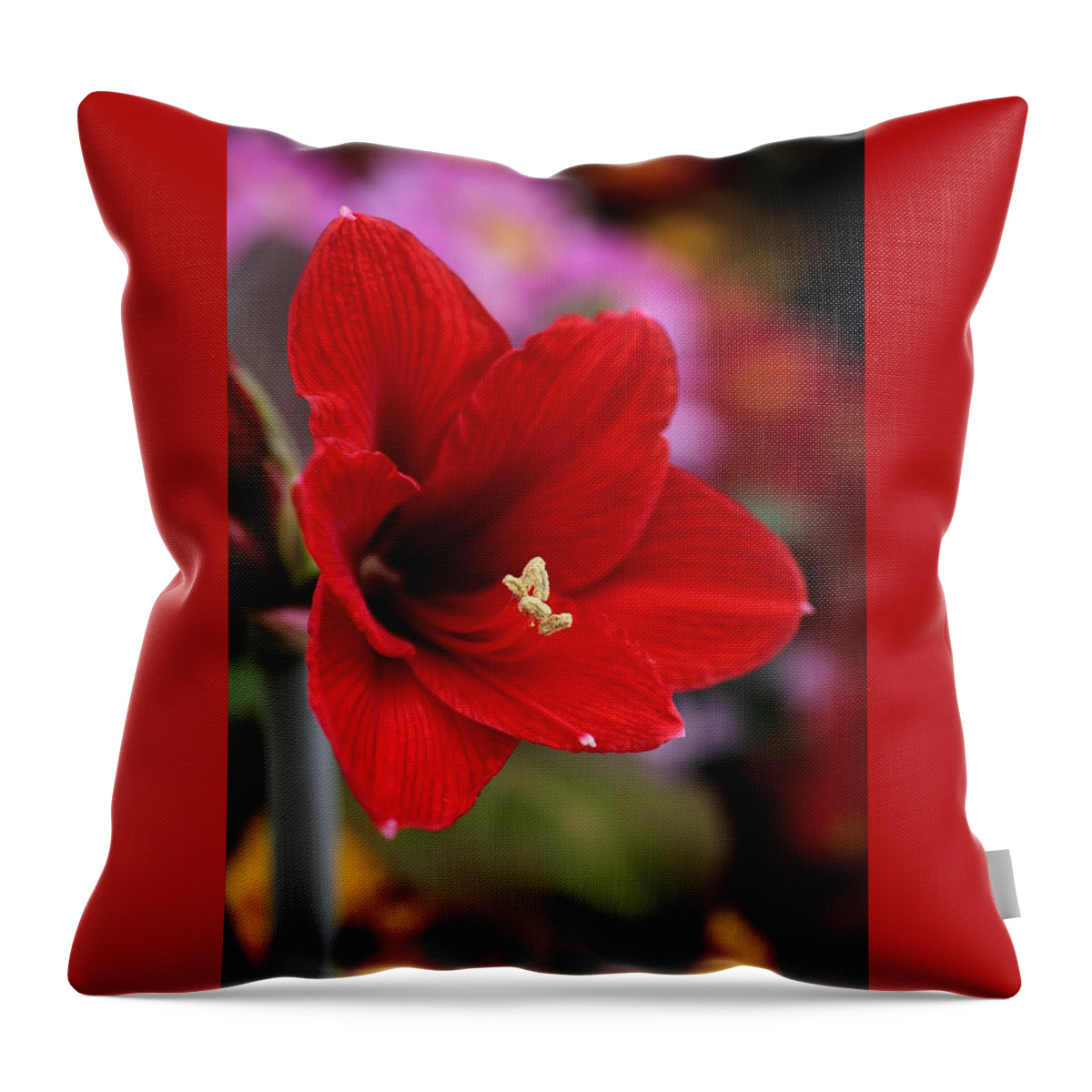 Amaryllis Throw Pillow featuring the photograph Red Amaryllis by Tammy Pool