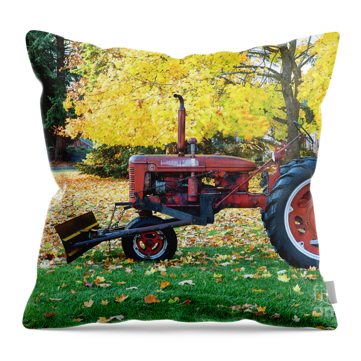 Coeur D'alene Throw Pillow featuring the photograph Red and Gold by Idaho Scenic Images Linda Lantzy