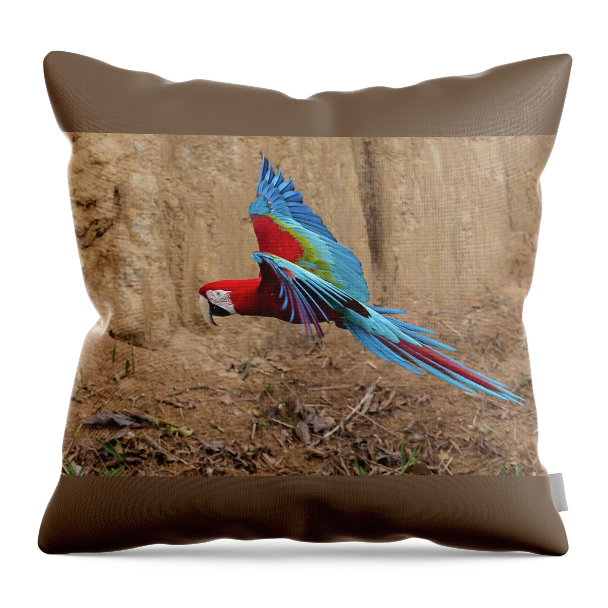 2015 Throw Pillow featuring the photograph Red-and-green Macaw by Jean-Luc Baron