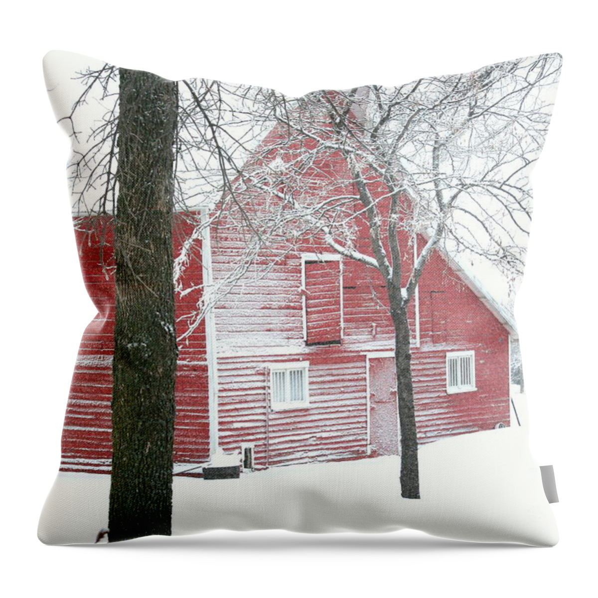 Barn Throw Pillow featuring the photograph Red and Stormy by Julie Lueders 