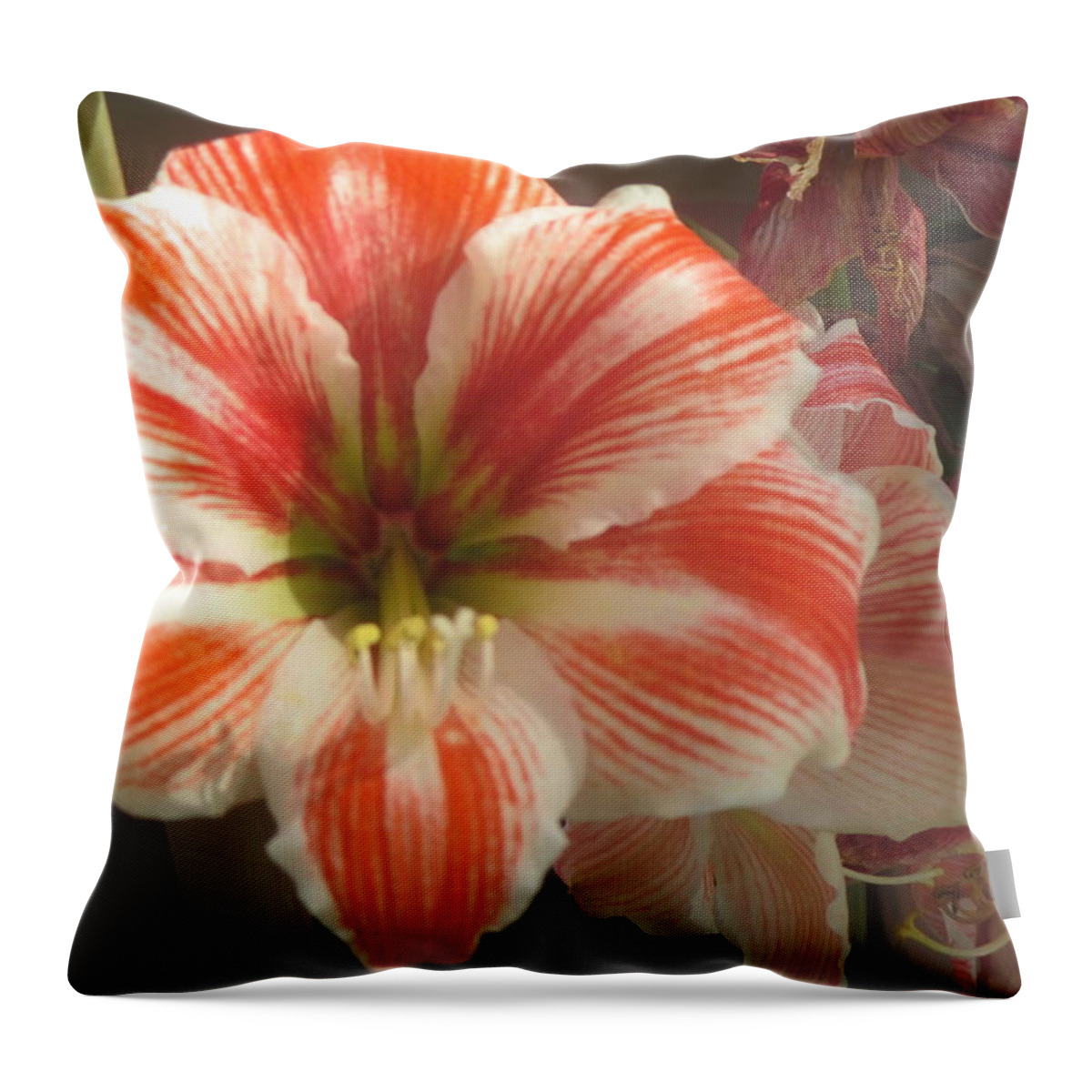 Flower Throw Pillow featuring the photograph Red And White Flower by Anamarija Marinovic