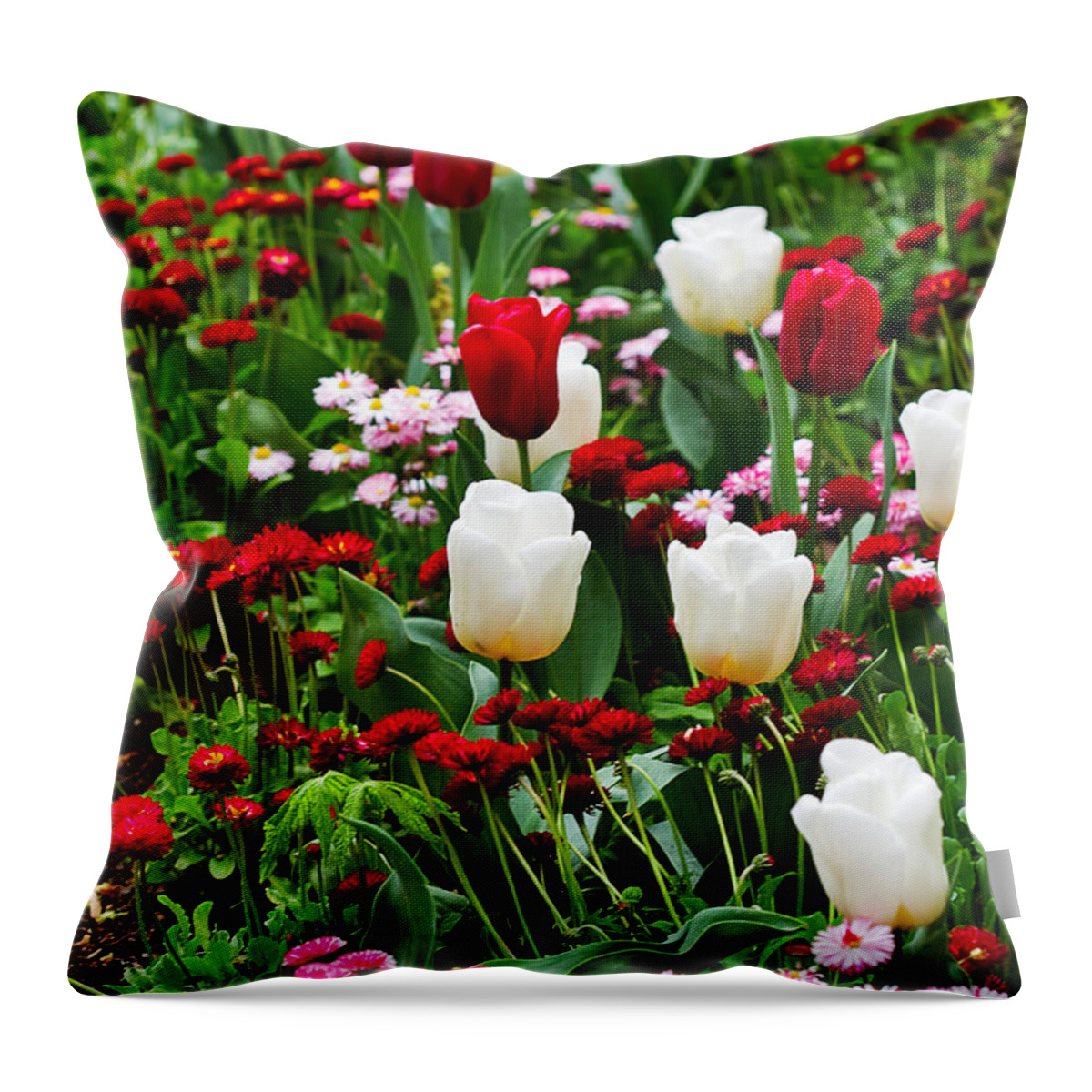 Flower Throw Pillow featuring the photograph Red and White Tulips with Red and Pink English Daisies in Spring by Louise Heusinkveld
