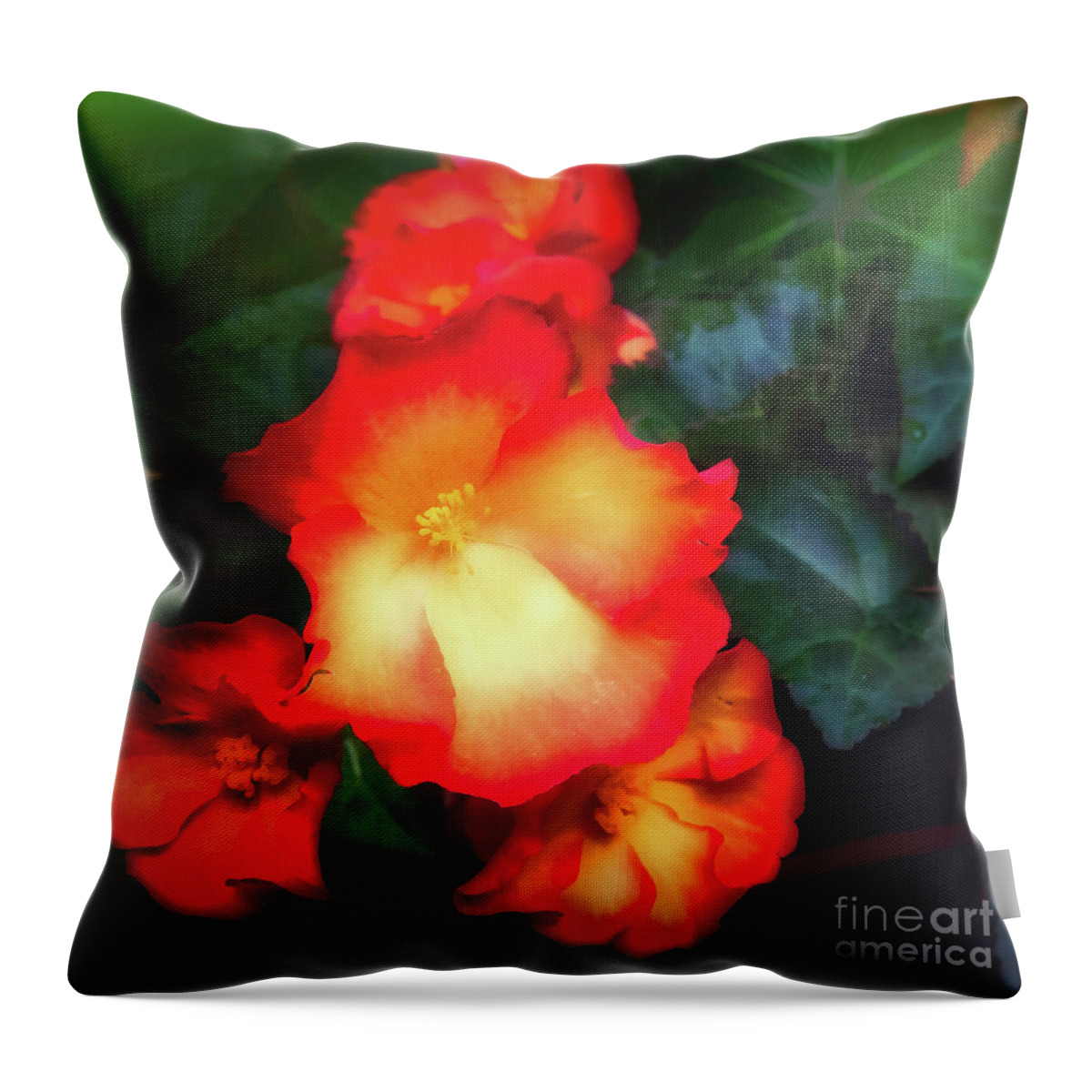 Flower Throw Pillow featuring the photograph Red and Yellow by Barry Weiss