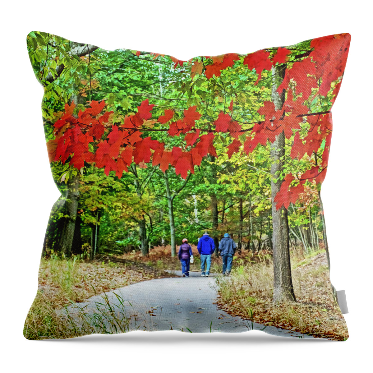 Red Autumn Leaves Over Trail To North Beach Park In Ottawa County Throw Pillow featuring the photograph Red Autumn Leaves over Trail to North Beach Park in Ottawa County, Michigan by Ruth Hager