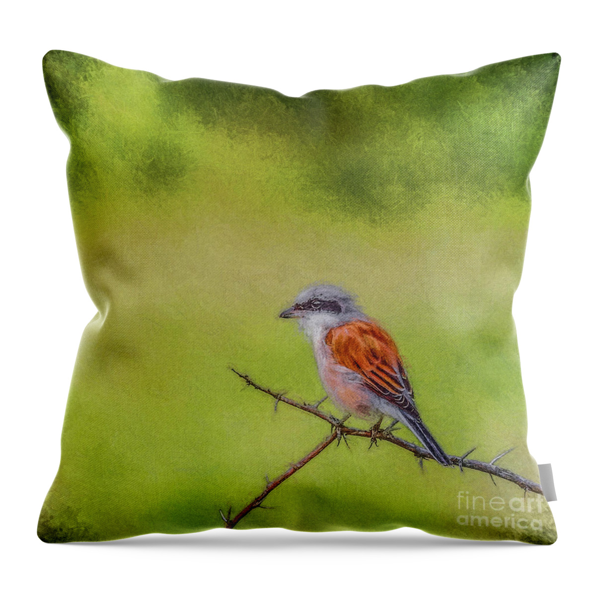 Red-backed Shrike Throw Pillow featuring the digital art Red-backed Shrike by Liz Leyden