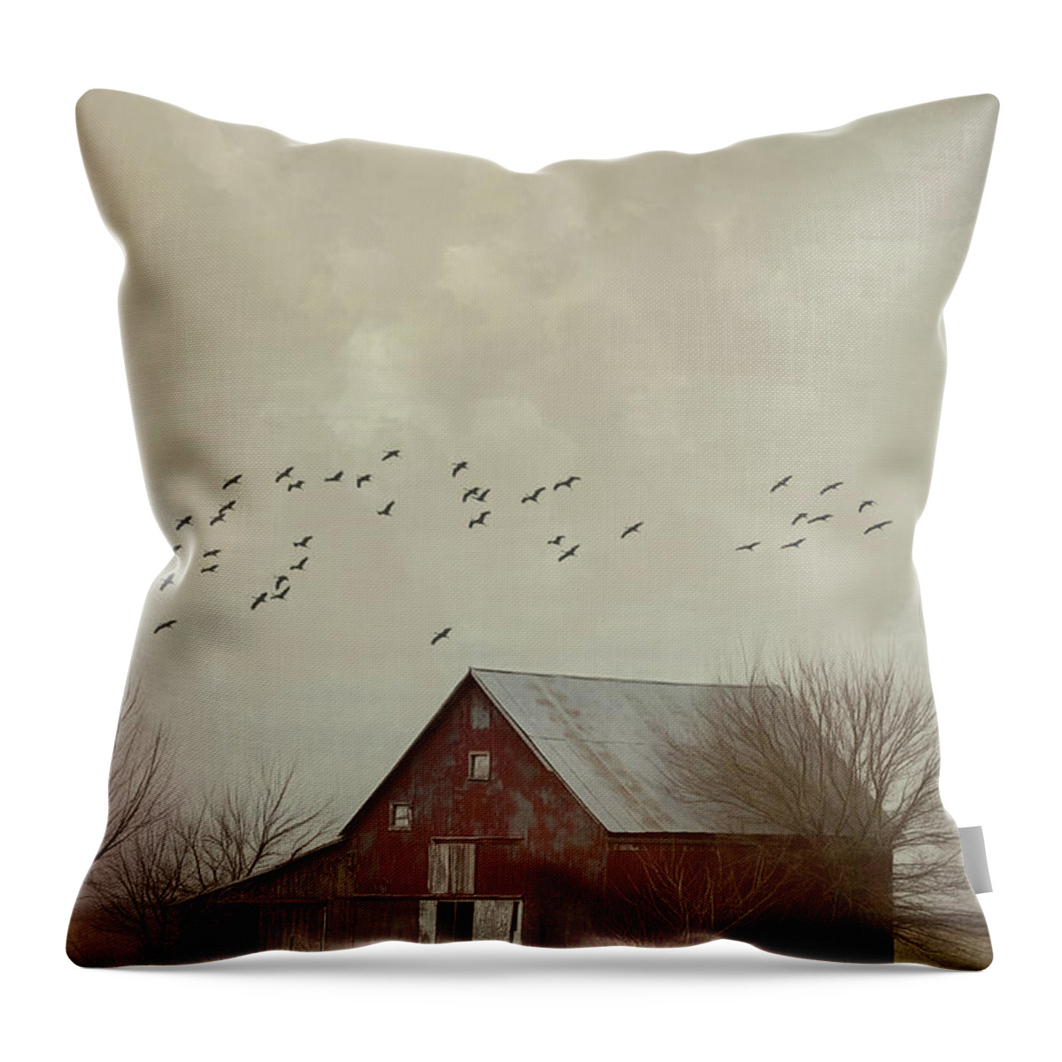 Nebraska Throw Pillow featuring the photograph Red Barn and Cranes by Debra Boucher