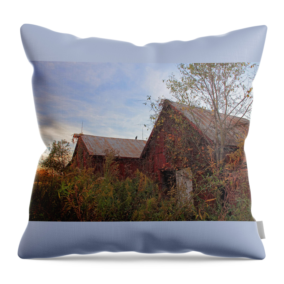 Barn Throw Pillow featuring the photograph Red Barn at Sunset by Angela Murdock