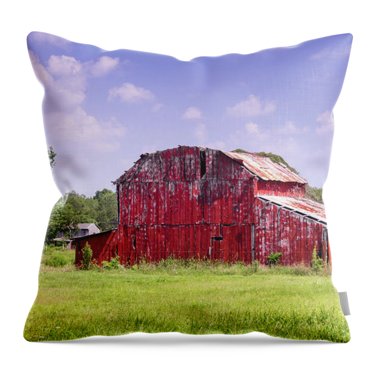 Landscape Throw Pillow featuring the photograph Red Barn at the Old Homestead by Douglas Barnett