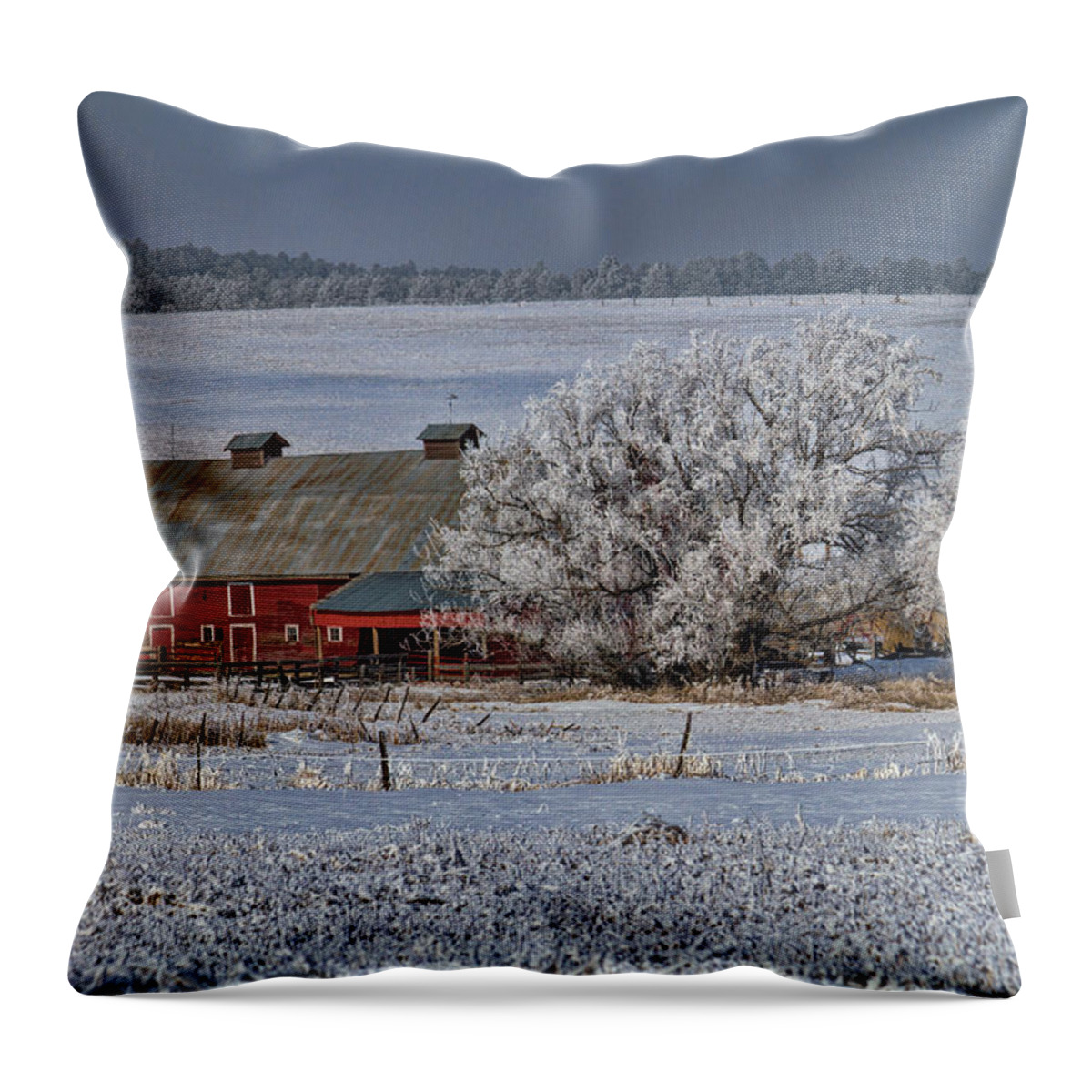Winter Throw Pillow featuring the photograph Red Barn in Winter by Alana Thrower
