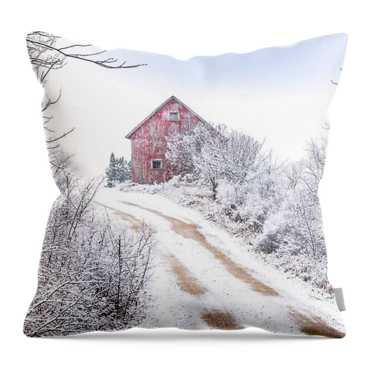 Winter Throw Pillow featuring the photograph Red Barn in Winter by Patti Raine