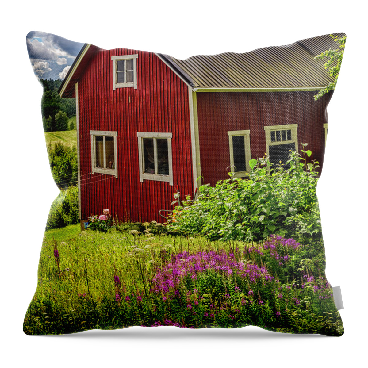 Appalachia Throw Pillow featuring the photograph Red Barn on a Summer Day by Debra and Dave Vanderlaan